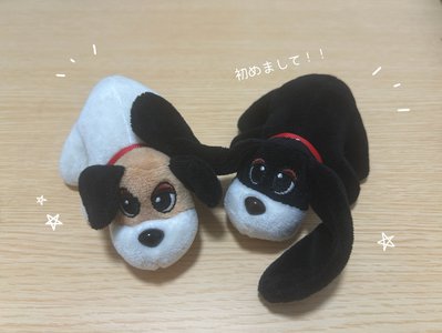 名前はまだ無い 。             稲熊ひな - 画像2