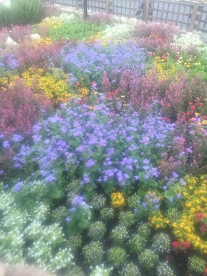 幸せの空間はいつも決まって暖色 - 画像9