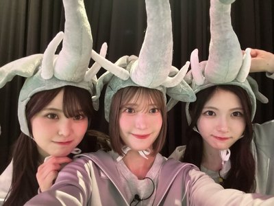 ゾウだぞう