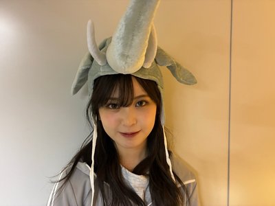 🐘🐰‼︎