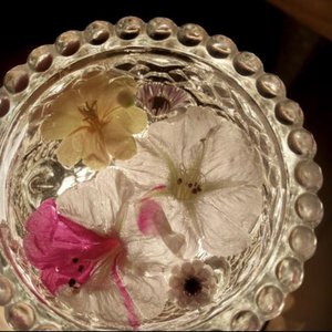 出会いのお花🌸　目黒陽色 - 画像3