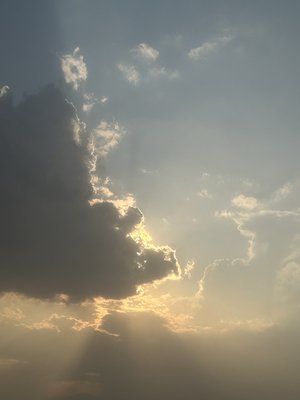 8月 - 画像8