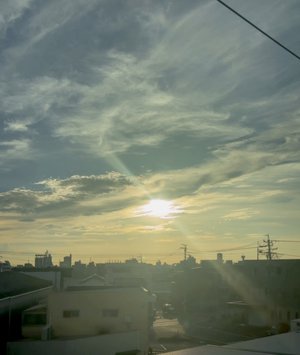おおきに〜☁️  目黒陽色 - 画像5