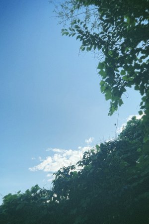 #330. 13枚目シングル情報たくさん発表されたよ〜🦋のサムネイル