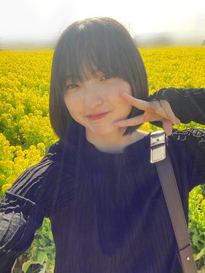 ✉️ - 画像2