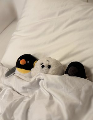 ここ、どこかわかる？？ - 画像2