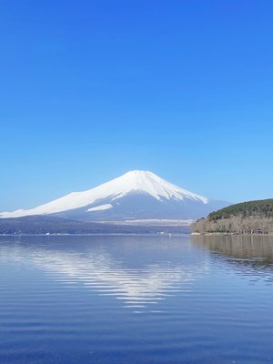 蘇る思い出 - 画像4