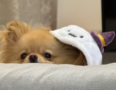 誕生日🎂 - 画像6