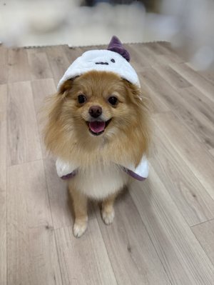 誕生日🎂 - 画像7