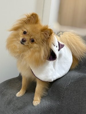 誕生日🎂 - 画像8