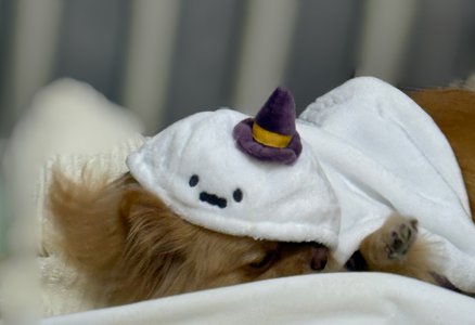 誕生日🎂 - 画像9