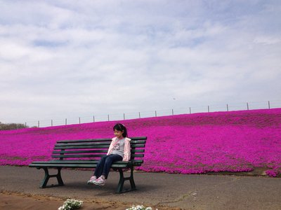 見たことある？ - 画像3