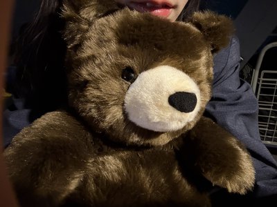 うそ、163 - 画像8