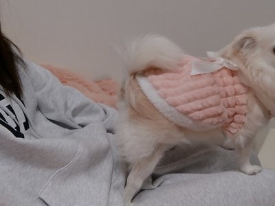 バースデー - 画像4