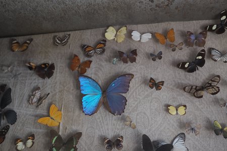 それでも 泣いてなんかいない 星がいつもよりも美しく見えるくらい - 画像12