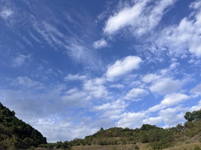 #338. 涙溢れても拭わない - 画像6