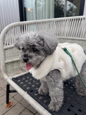 27ちゃい - 画像11