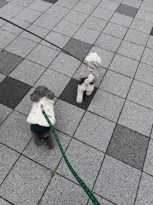 27ちゃい - 画像12