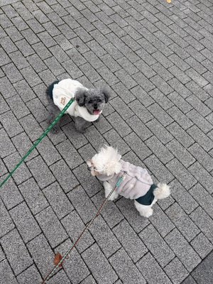 27ちゃい - 画像13