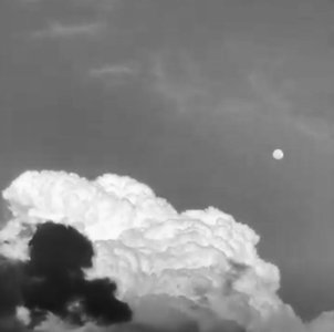 幸せな色　目黒陽色 - 画像2