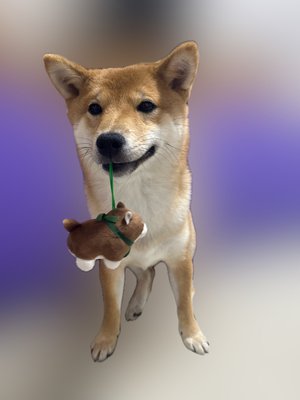 加湿器欲しい - 画像4