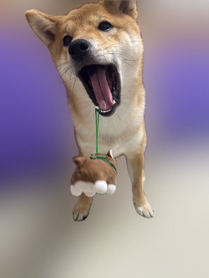 加湿器欲しい - 画像5