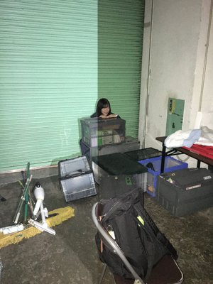 10月 29日 - 画像6