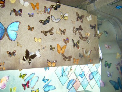 13th Single - 画像4