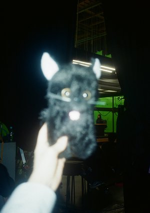 11月　写真 - 画像13