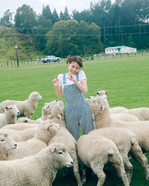 #357 24時間限定！W特典！！ - 画像2