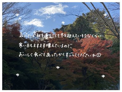 チェックのダウン - 画像3