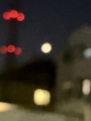 月、167 - 画像13