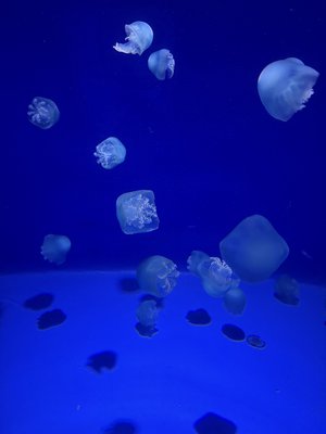 ドライブ、168 - 画像2