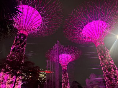 シンガポール - 画像3