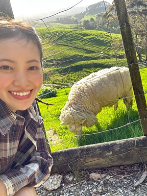 #362 フォー - 画像3