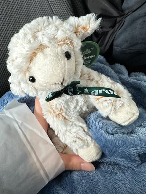 #362 フォー - 画像5