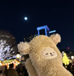 秋？冬？の春？ - 画像6