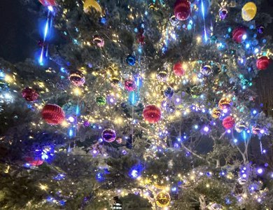 イブの予定は - 画像4