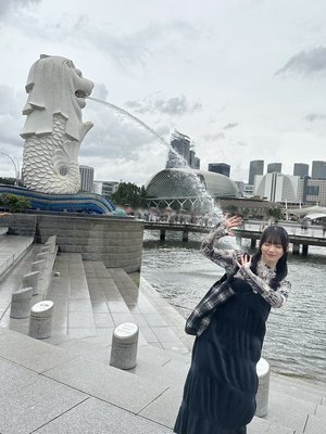シンガポール - 画像5
