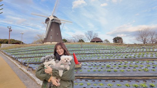 2026のサムネイル