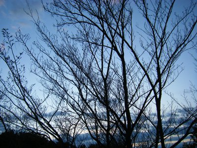 自由気ままに - 画像6