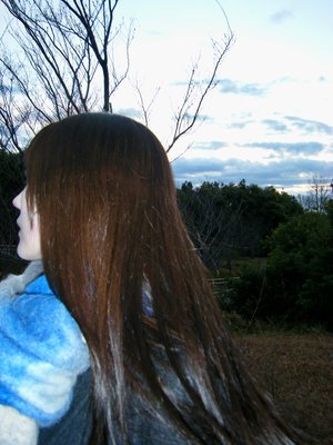 自由気ままに - 画像7