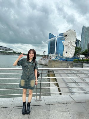 #375 マーライオン - 画像11