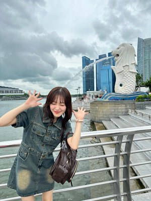 #375 マーライオン - 画像12