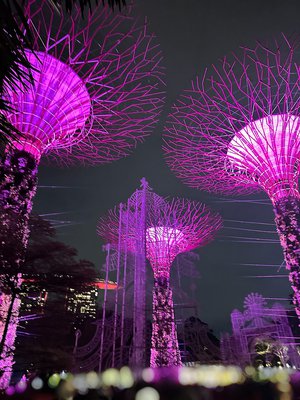 #375 マーライオン - 画像7