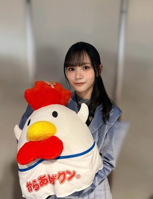 からあげクンのクッションのサムネイル