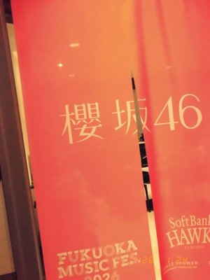 50 - 画像6