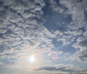 #368. 心のなかのサムネイル