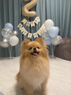 もう181cmだって！ - 画像2