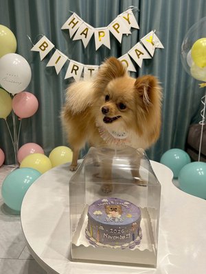 もう181cmだって！ - 画像5